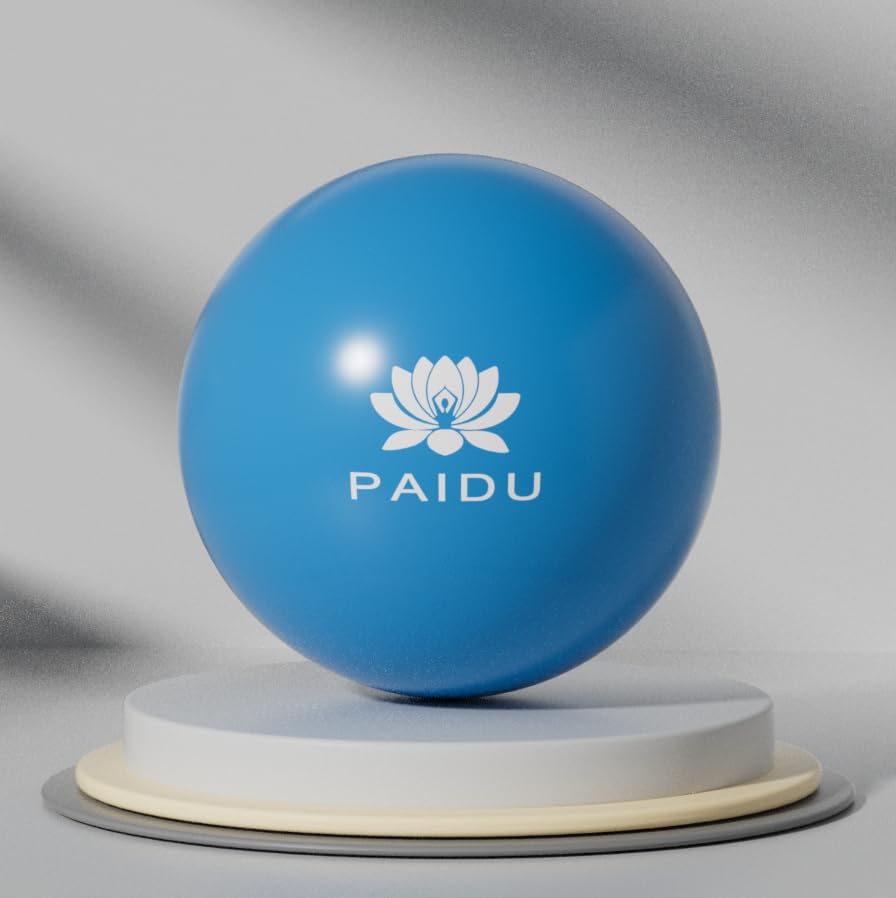 PAIDU Pilates Ball 10-inch Core Ball, Anti-Explosion and Anti-Slip Mini Yoga Ball, Suitable for Pilates, Yoga, Core Training, Physical Therapy, Balance, Stability, Stretching Exercises